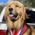 MAYOR MAX, III